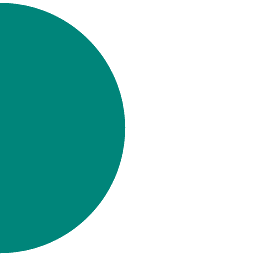 Boston Medical Occupational Health logo