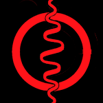 City Chiropractic logo